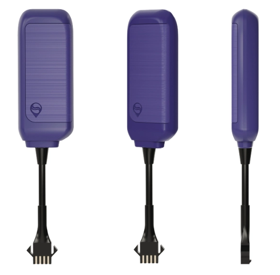 Zard R12L Appearance